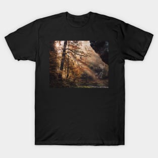 Sun Rays in Bohemian Switzerland Hrensko #8 T-Shirt